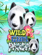 เกม สล็อต roma เล่น ฟรี ได้ เงิน จริง 2021